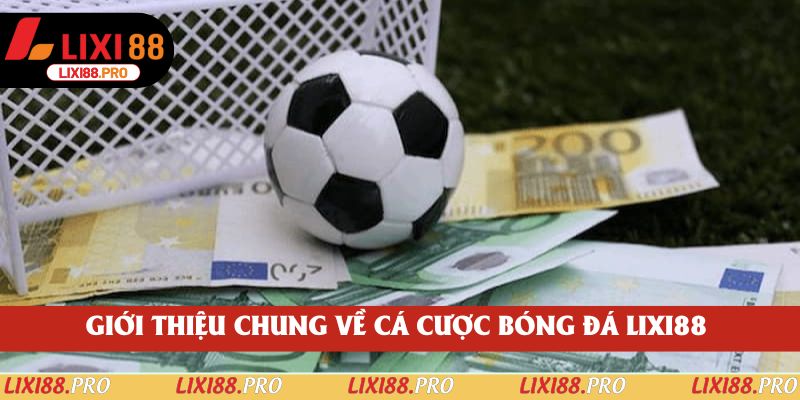 Giới thiệu chung về cá cược bóng đá lixi88